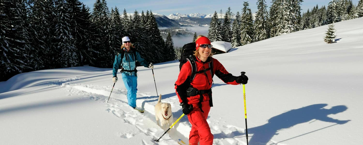 Skitourengeher am Dürrnbachhorn (1.776 m) in den Chiemgauer Alpen an der Grenze von Salzburg und Bayern