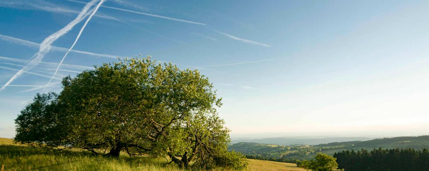 Blick vom Hoherodskopf am Vogelsberg in Hessen