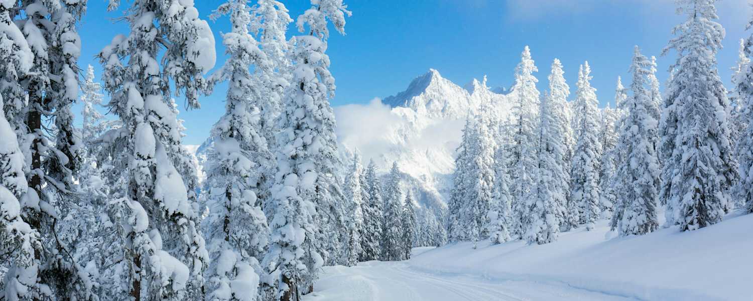 Langlaufen auf dem winterlichen Hochplateau in Ramsau am Dachstein