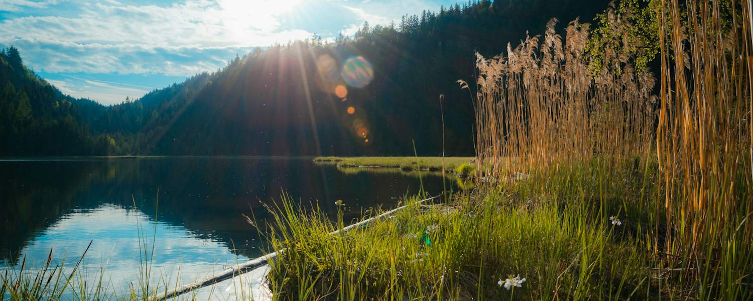 Der Spechtensee bei Wörschachwald im Ennstal, Steiermark