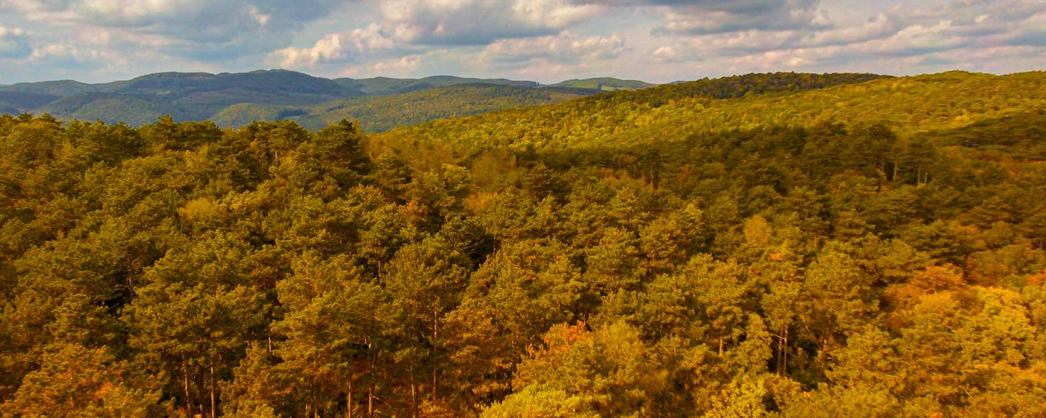 Ausblick auf den Gipfel des Anninger und die herbstliche Landschaft von Perchtoldsdorf, Niederösterreich