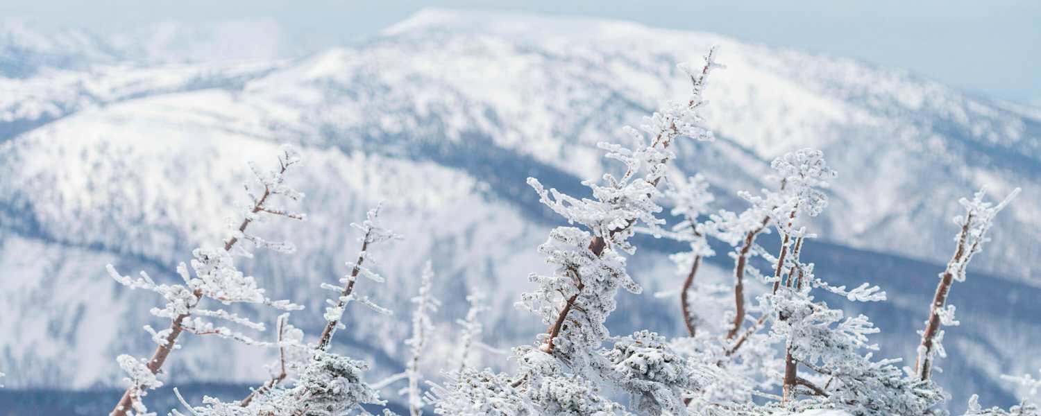 Wie eine Kugellager innerhalb der Schneedecke wirken die runden Graupelkörner