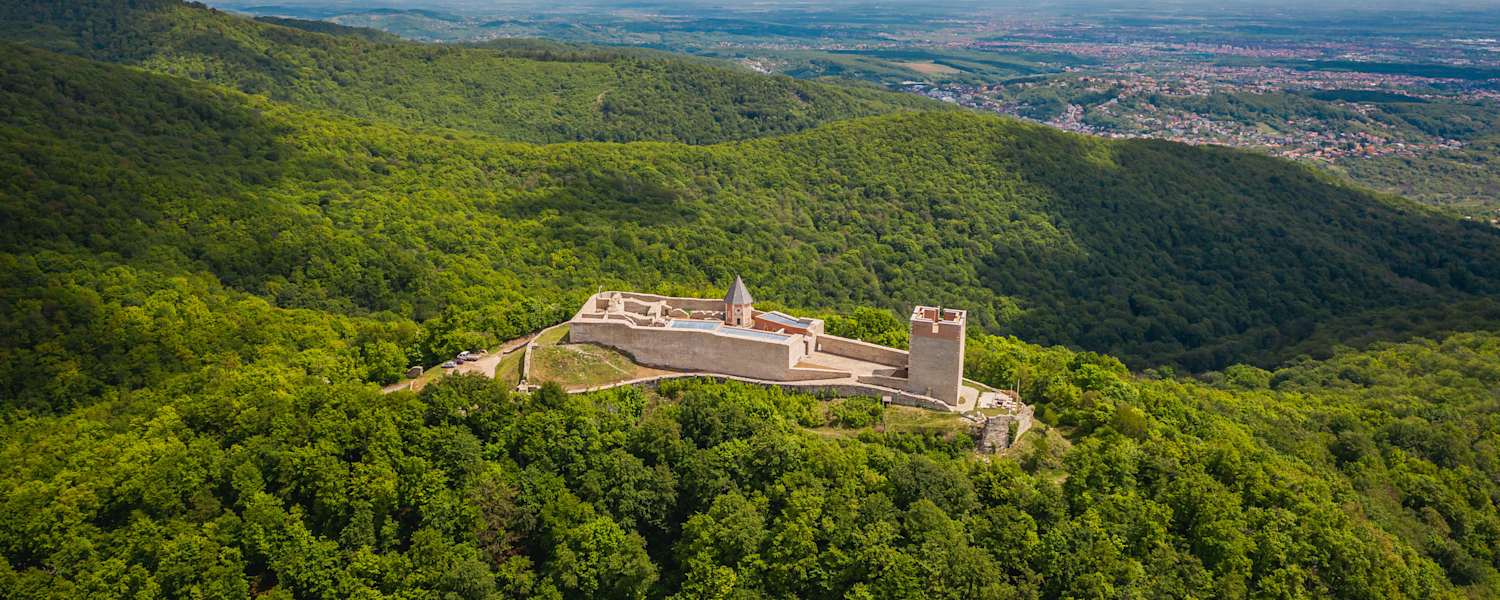 Eine Festung auf dem Berg umrandet von Wald.