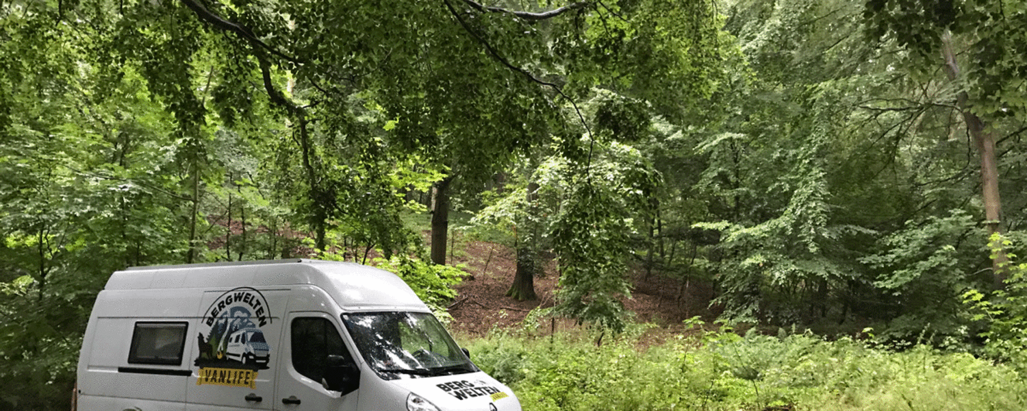 Lauras Schlafplatz im Wald von Møns Klint