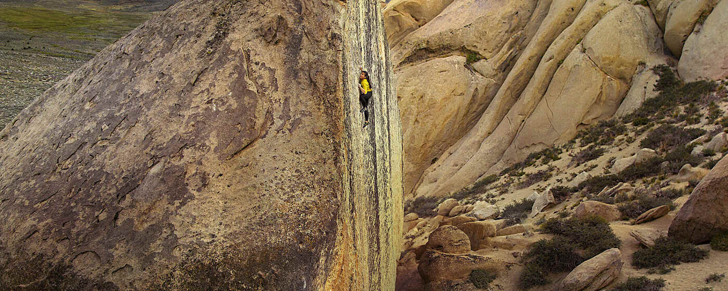 Nina Williams The High Road