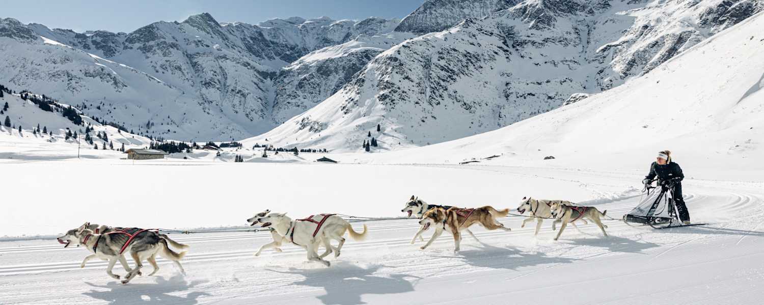 Manuela Petutschnig mit Hundeschlitten