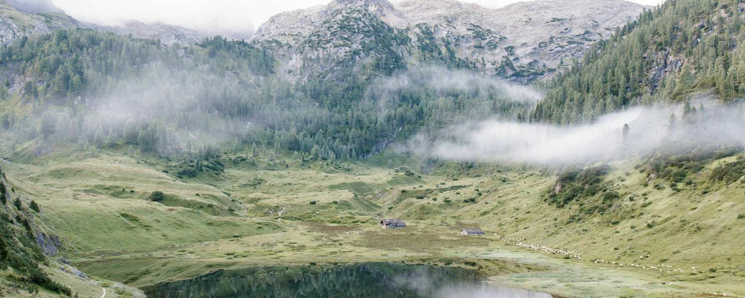 Das Gewinnerbild im April