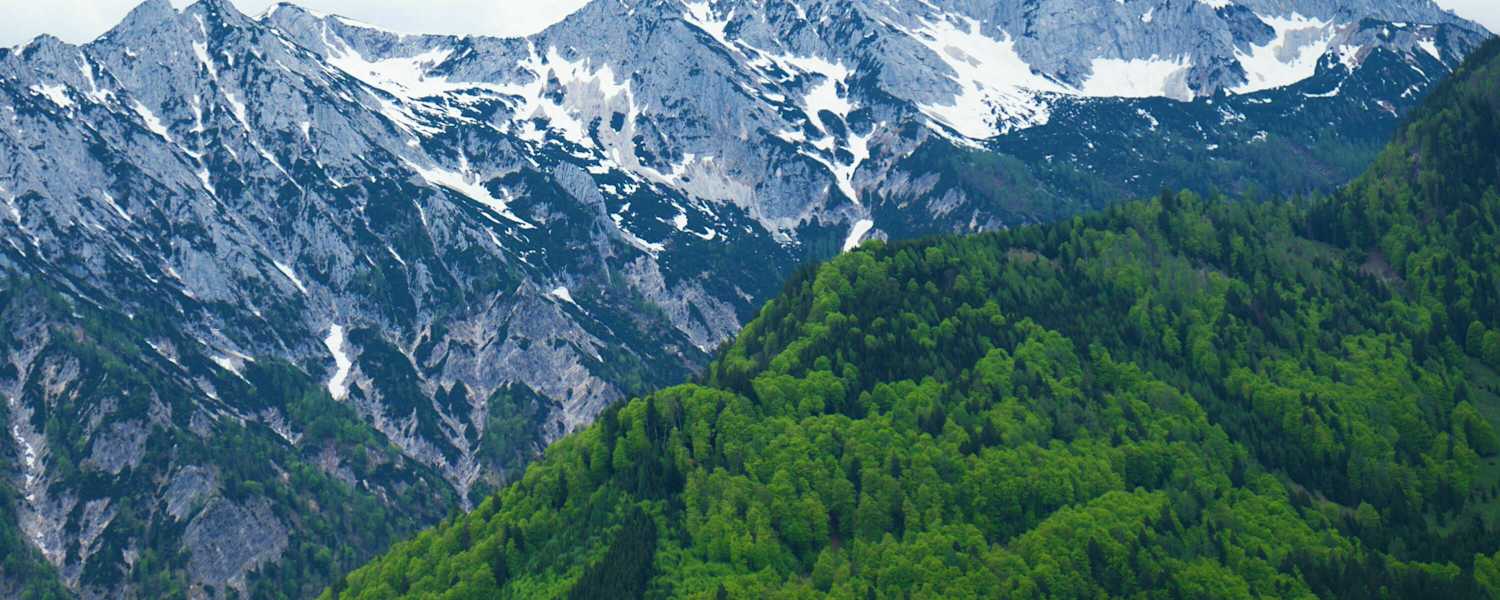 Nationalpark Kalkalpen: Sengsengebirge in den Oberösterreichischen Voralpen