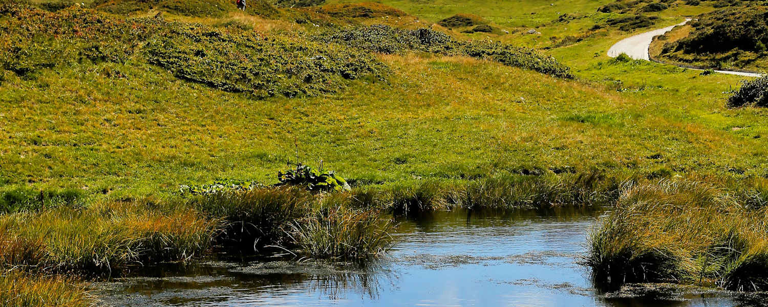 Tessiner Alpen: Entlang des Naturlehrpfads im Pioratal