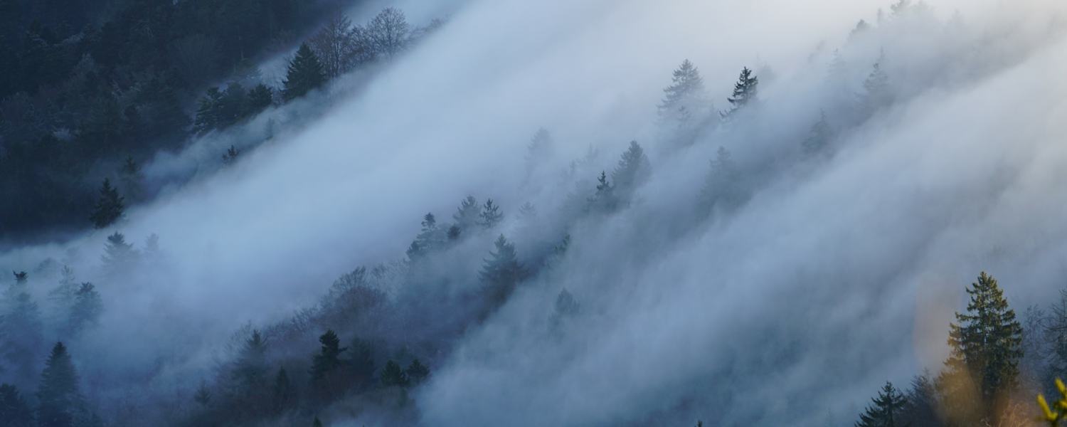 Nebelwolken schieben sich den Berg hinauf