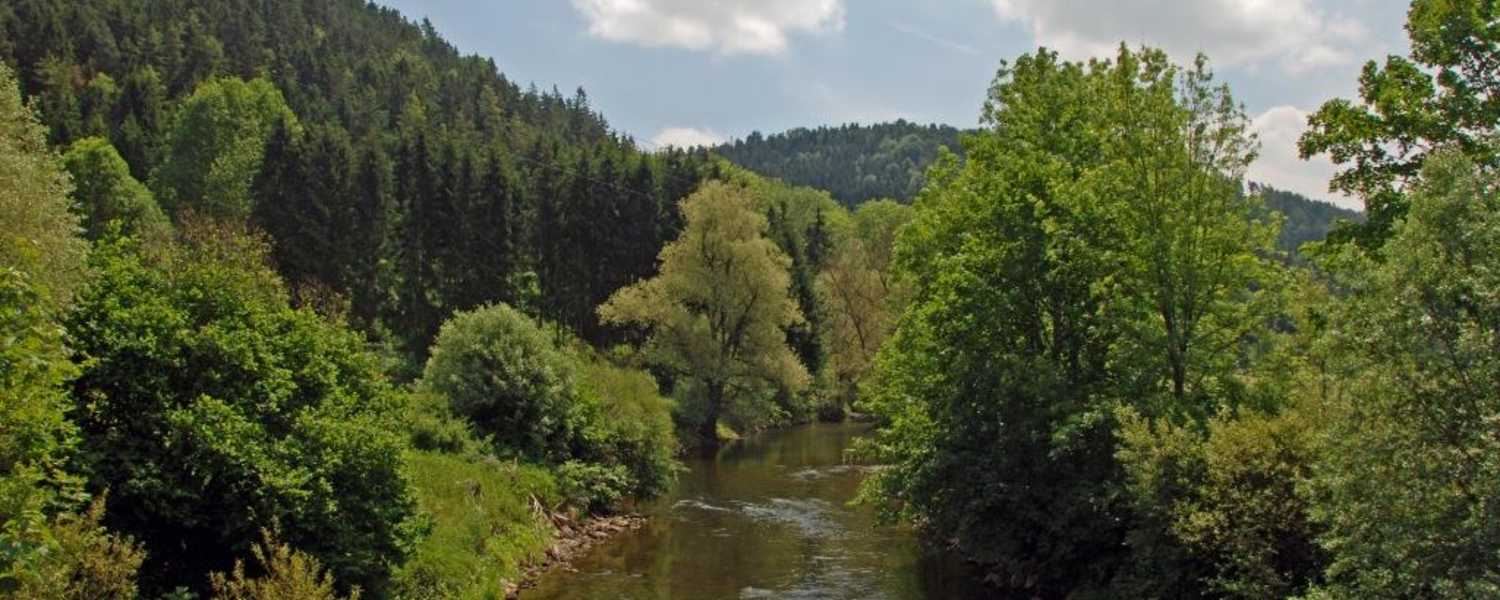 5 Wanderungen im Schwarzwald
