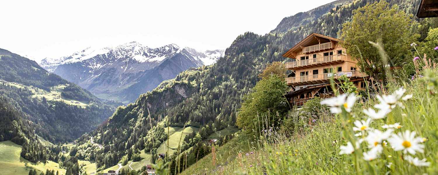 grüne Hänge mit Blumenwiesen, am Hang der Niedersteinhof und im Hintergrund verschneite Gipfel Südtirols