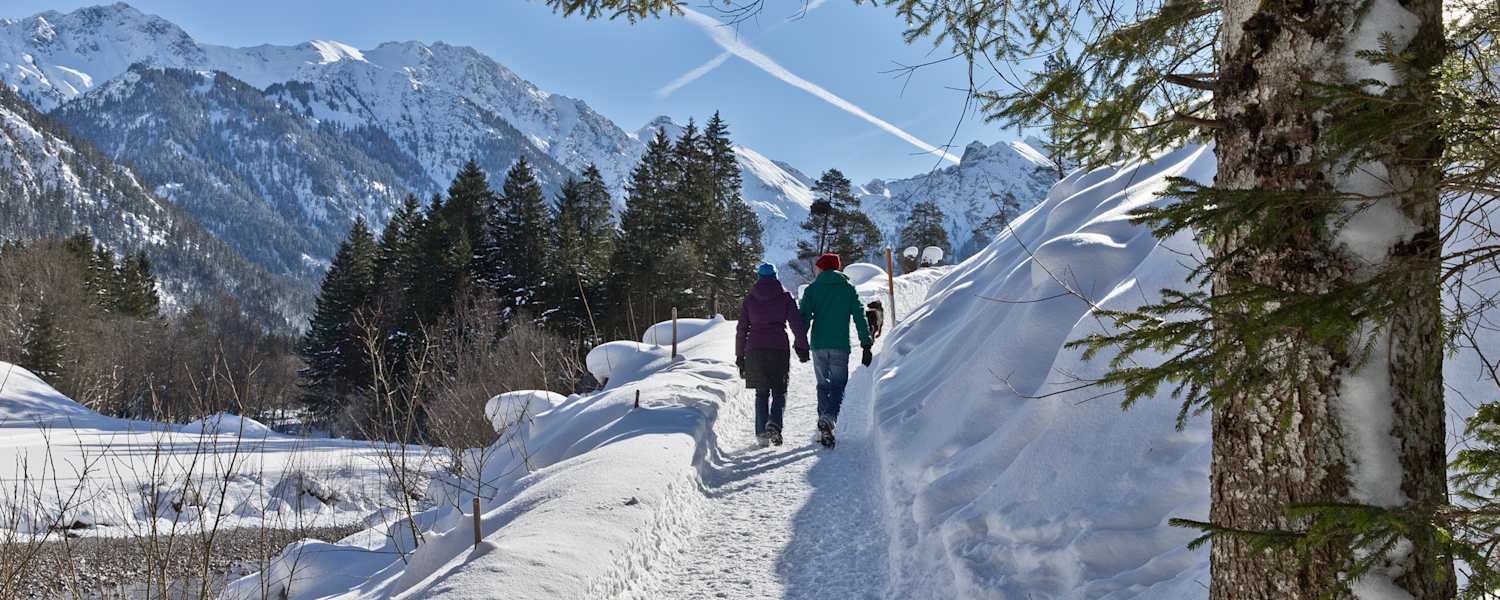Zwei Personen und ein Hund mit wunderschönem Panorama.