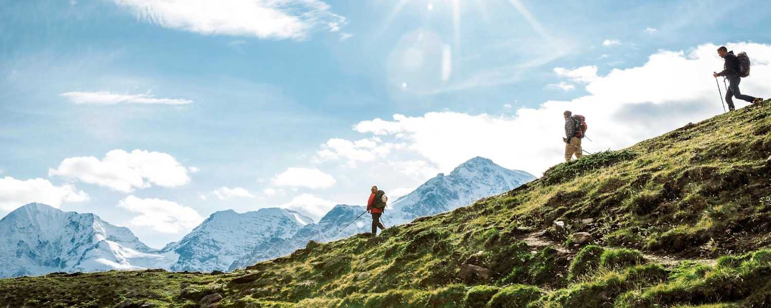 Wanderer auf weiten Almen mit Blick auf den Ortler