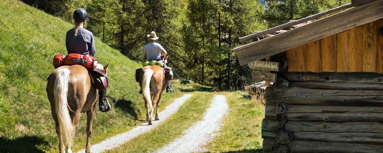 Gemütlich reitet man den Forstweg nach oben