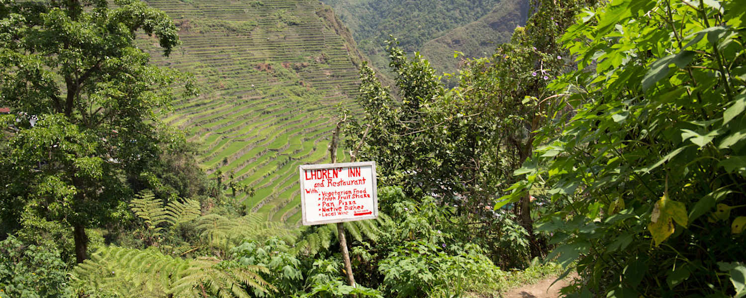 Wandern zwischen Reisfeldern auf den Philippinen