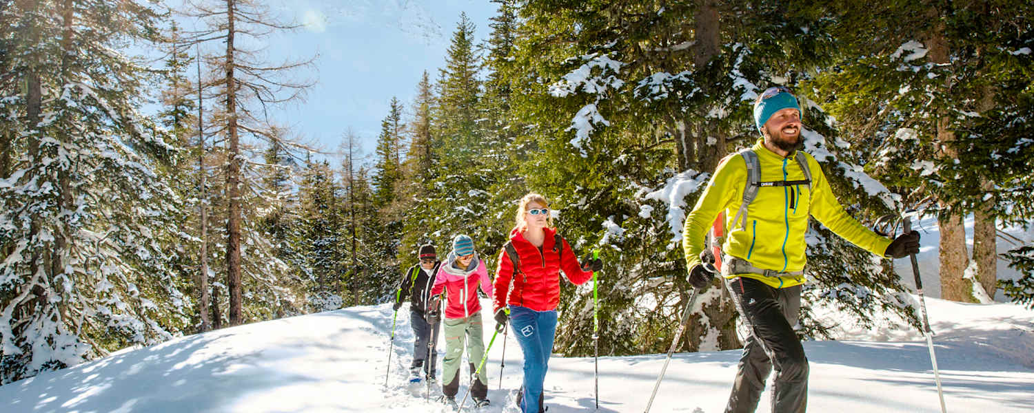 Vier Schneeschuhwanderer am Berg