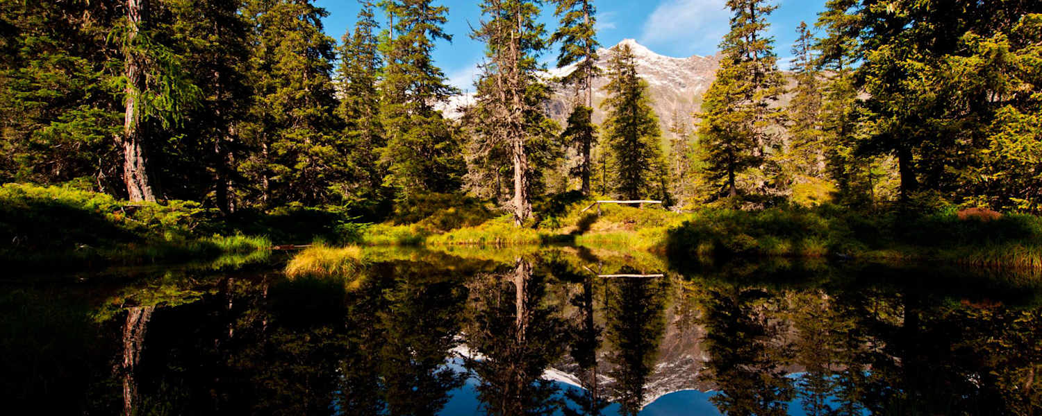Moortümpel im Rauriser Urwald: Wandern in der Goldberggruppe in Salzburg