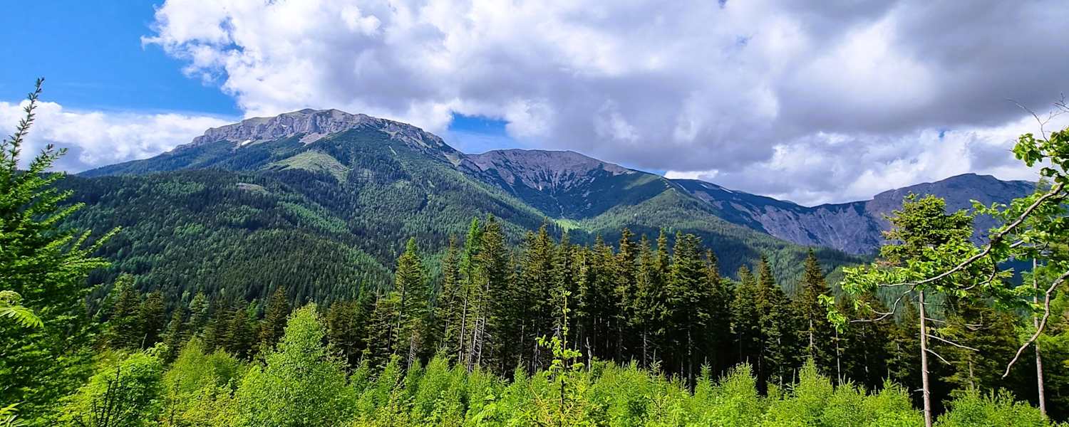 Von der Hohen Scheibe genießt man einen schönen Blick auf die Rax.