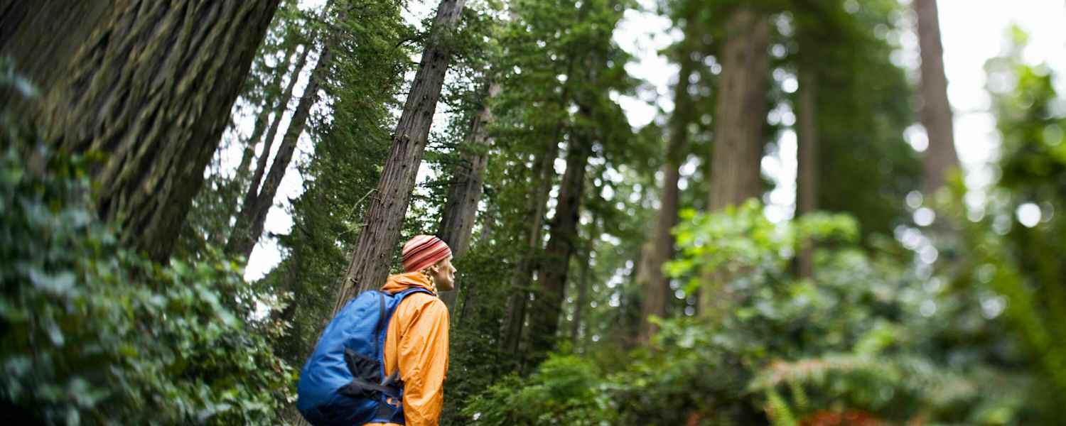 Wanderer bei Regen im Wald
