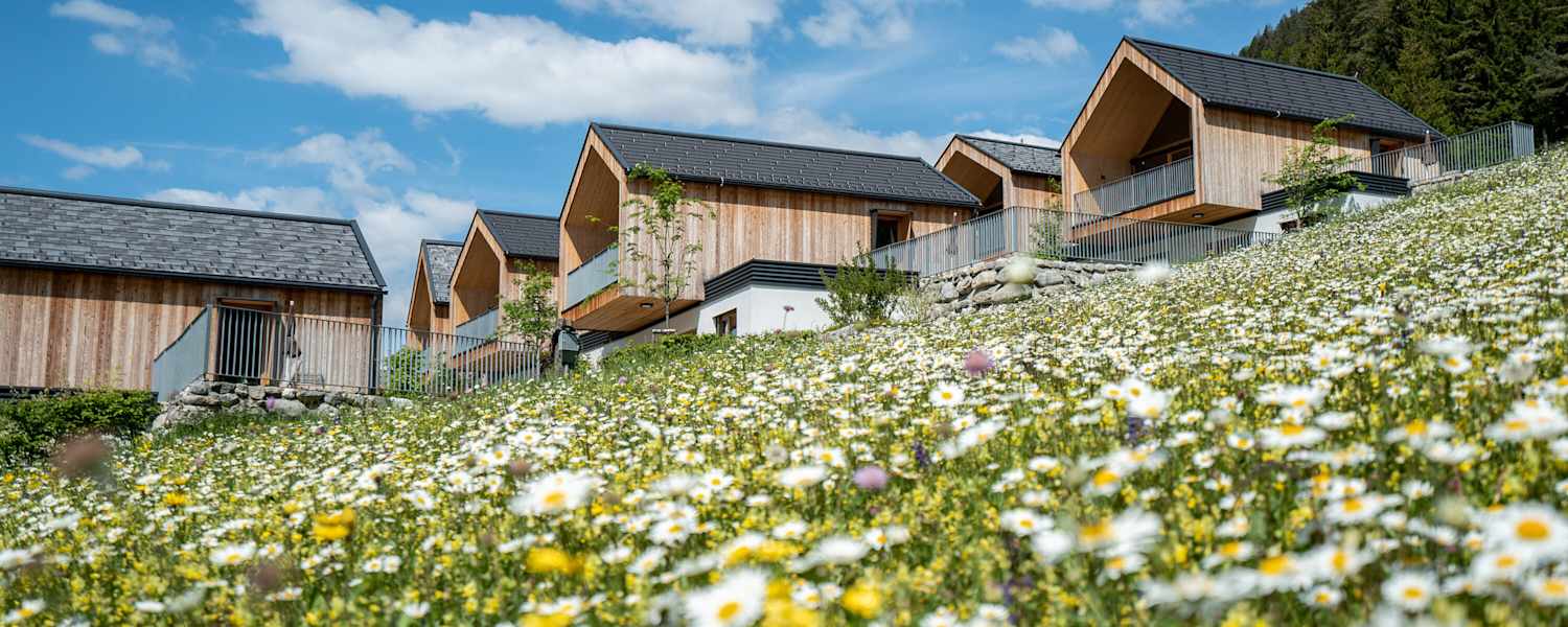 Blumenwiese mit Holzchalets am weissensee