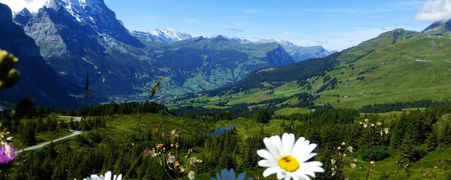 Rundwanderung in der Jungfrau-Region: Durchs Reichenbachtal im Berner Oberland