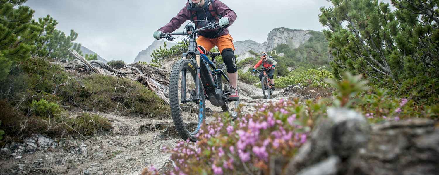 Ein E-Bike stellt vor allem bergab besondere Anforderungen