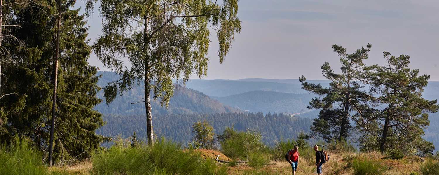 Deutscher Wandertag: Am Rennsteig im Thüringer Wald