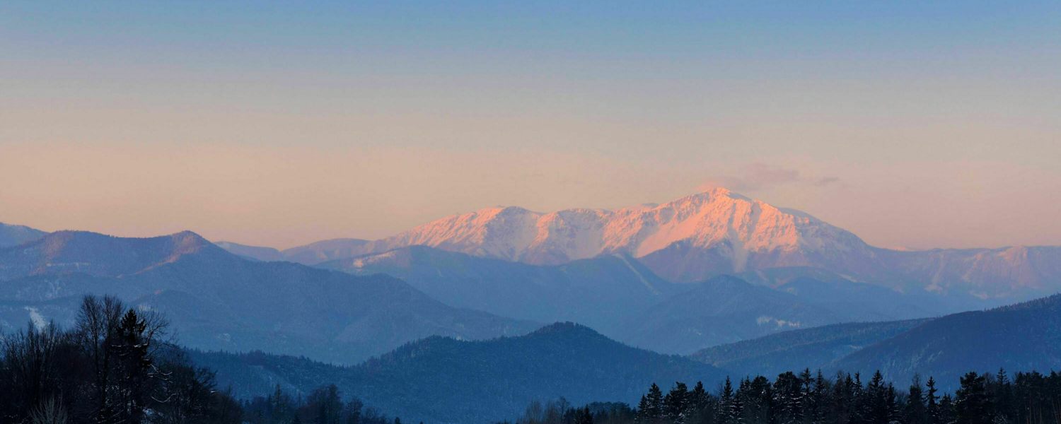 Rax-Schneeberg-Gruppe: Schneeberg in Niederösterreich