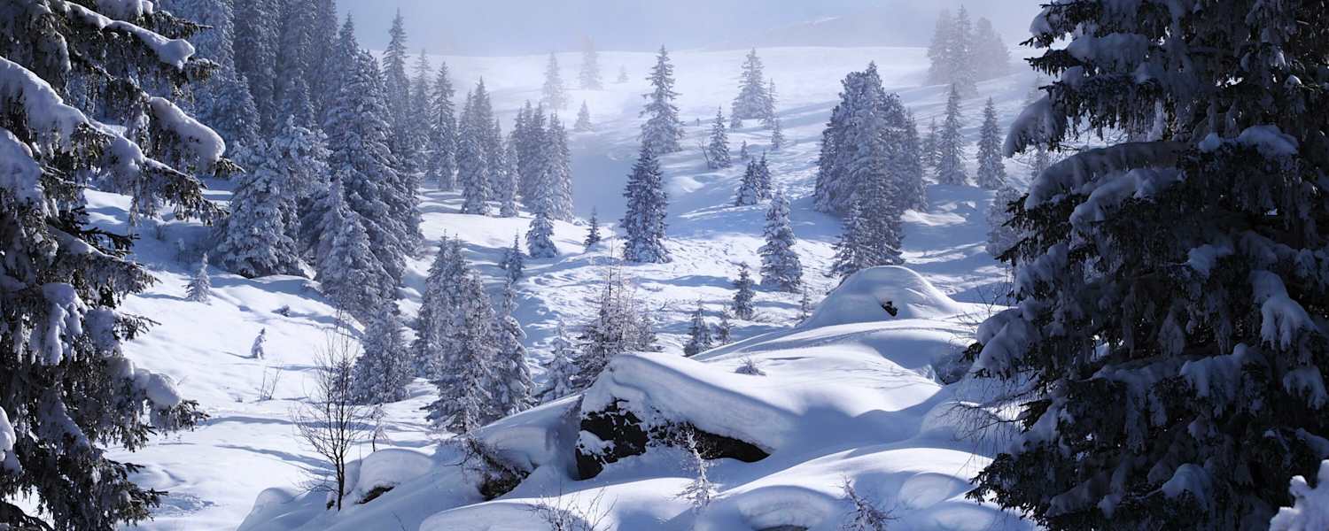 Kitzbüheler Alpen: Schneegrubenspitze in der Kelchsau