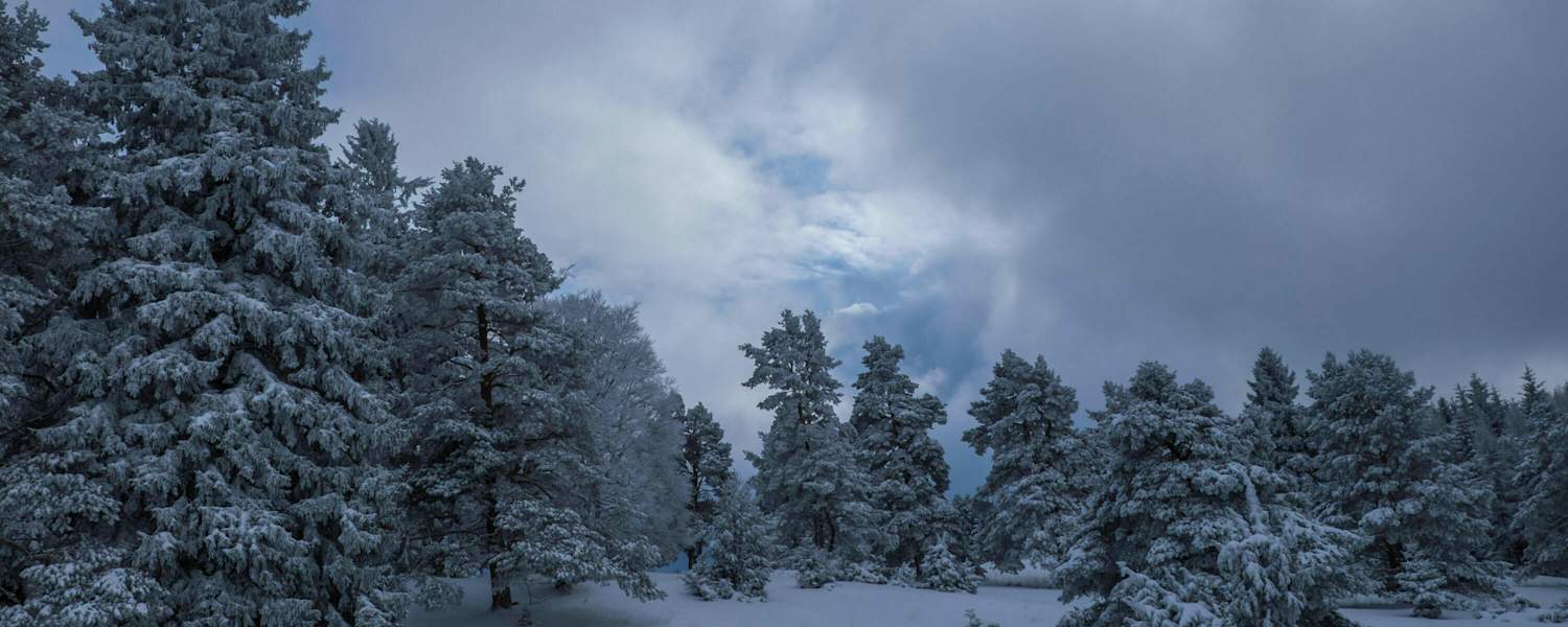 Winterwandern auf der Schwäbischen Alb