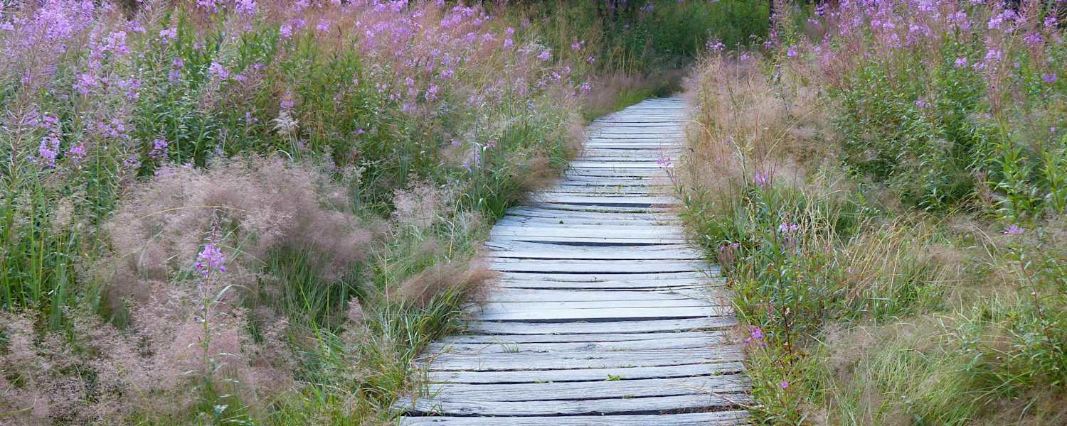 Wandern im Naturpark Bayerische Rhön