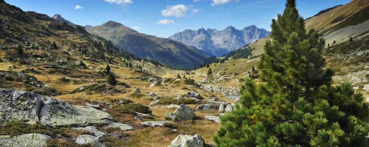 Wunderschöne Landschaft im Schweizer Nationalpark