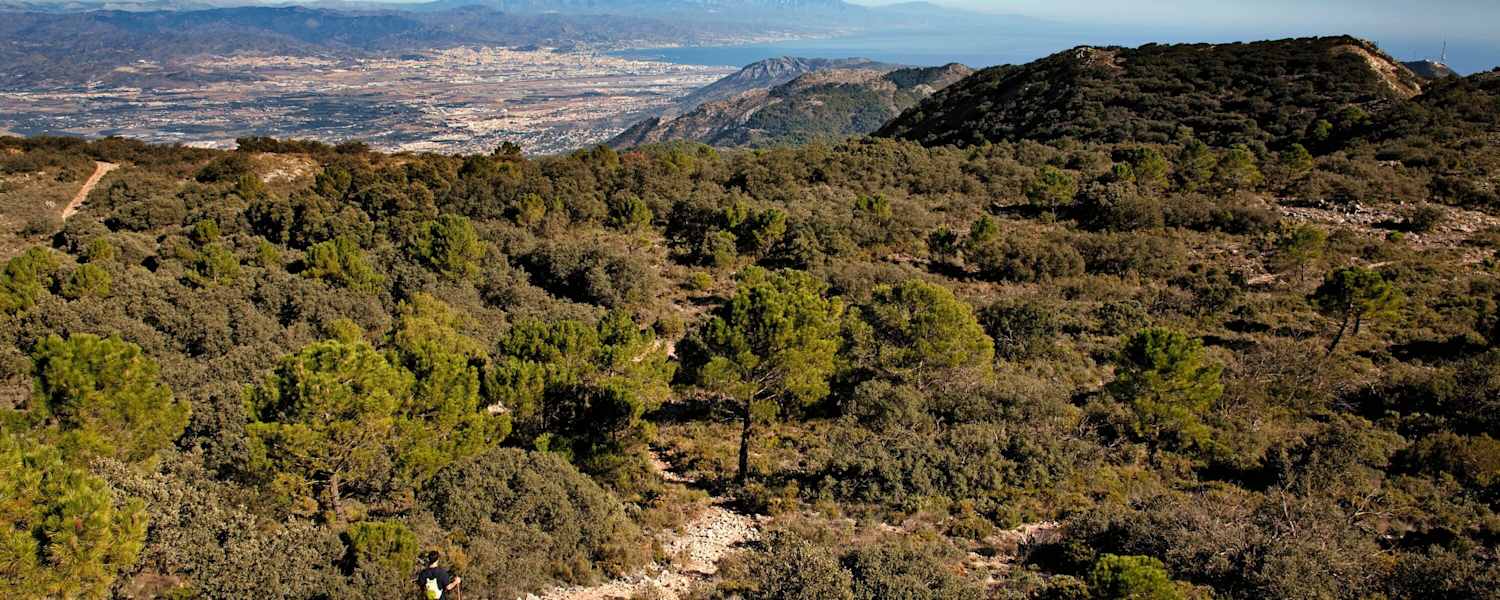 Blick vom Gebirge der Sierra de Mijas über Málaga in Andalusien