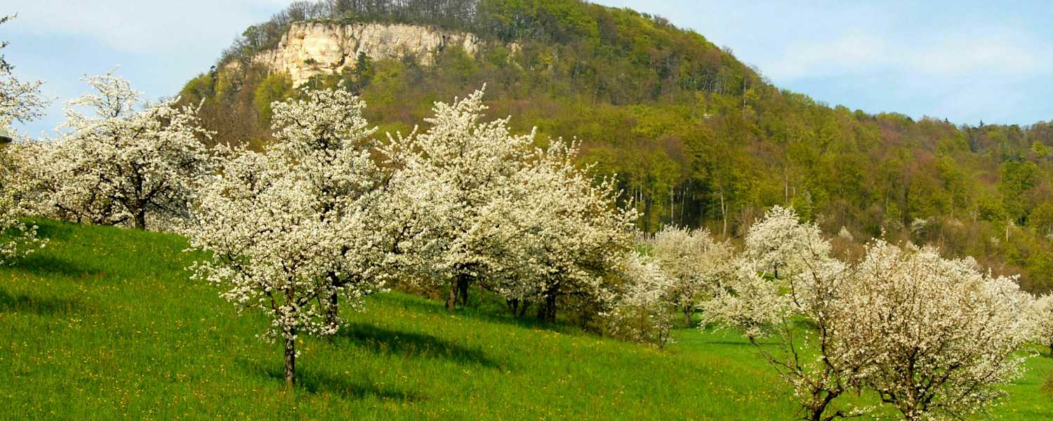 Wandern im Baselland: Sissacherflue