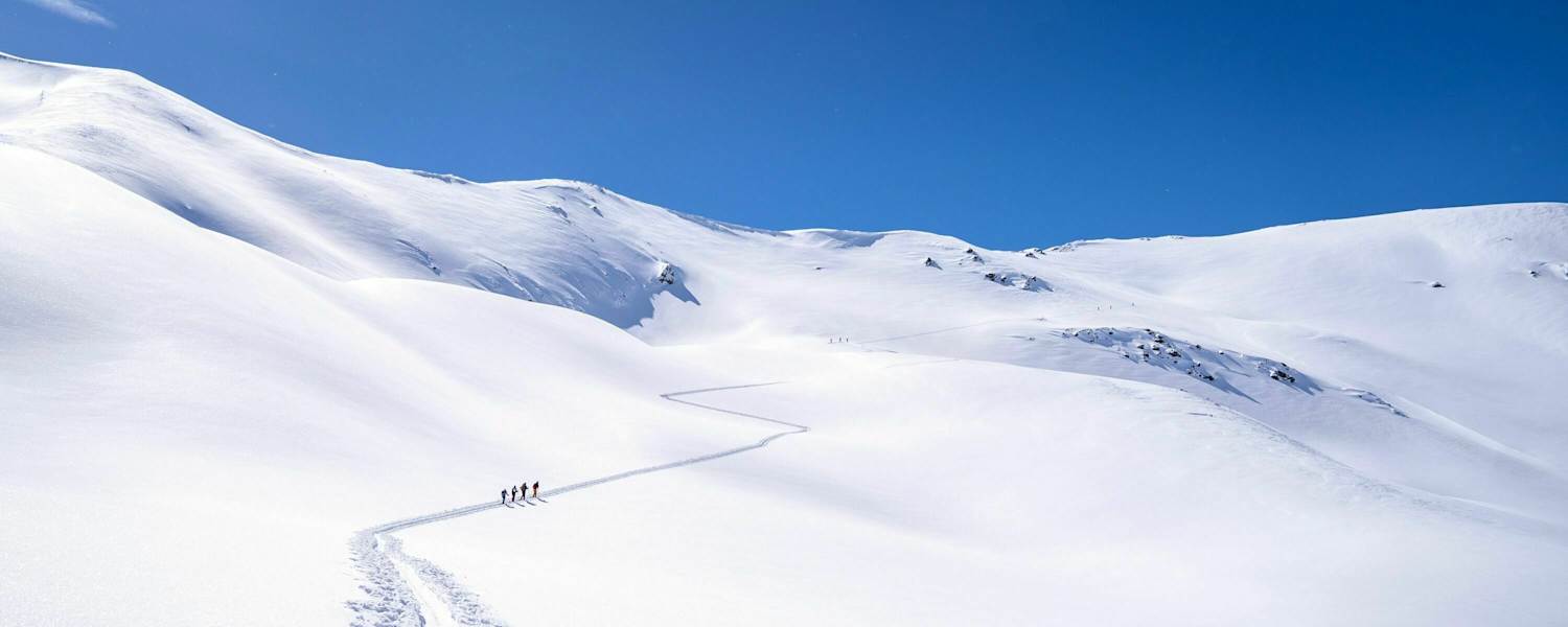 Spur durch die winterliche Landschaft