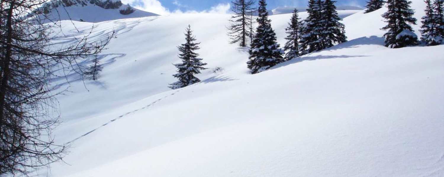 Salzburger Land: Gelände bei Kleinarl
