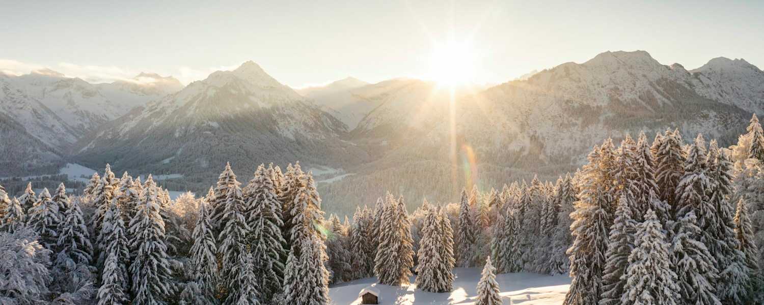 Sonnenuntergang über dem Tannenmeer