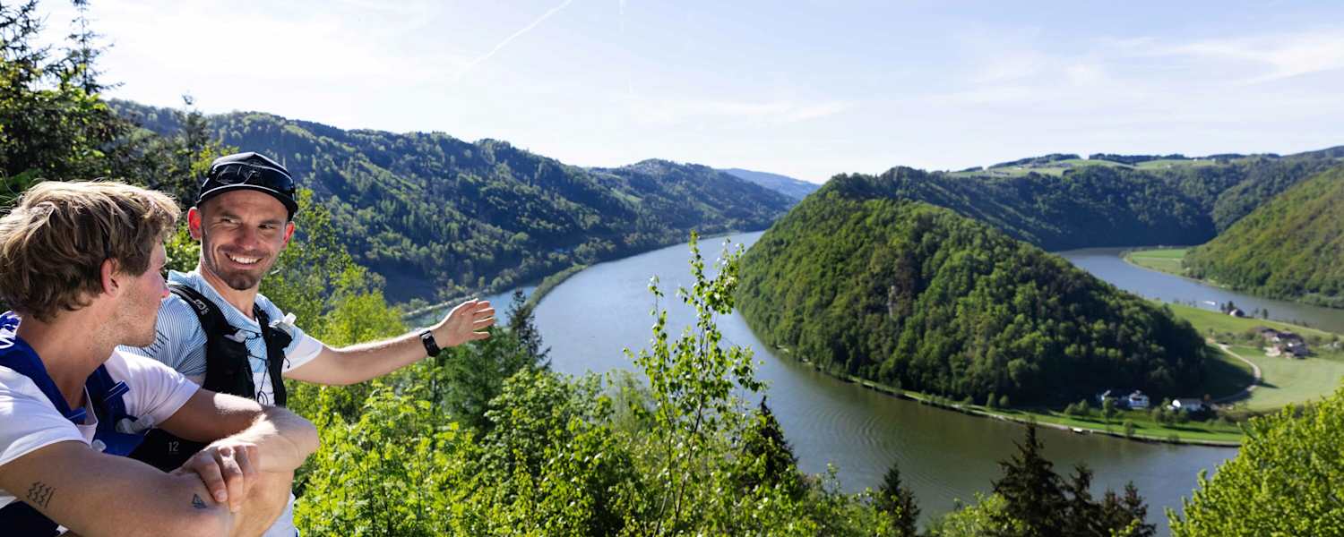 Großartige Aussichtsplätze, wie hier jener oberhalb der Donauschlinge Schlögen, sind einer von vielen Gründen fürs Trailrunning am Donausteig