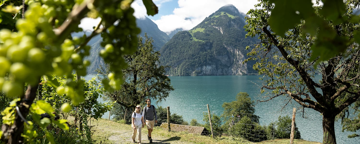Ein Pärchen im Sommer in der Schweiz neben dem See in der Natur.