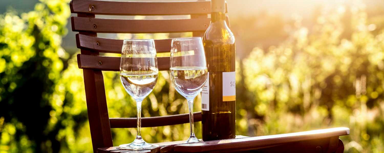 Weitwanderweg „Vom Gletscher zum Wein“