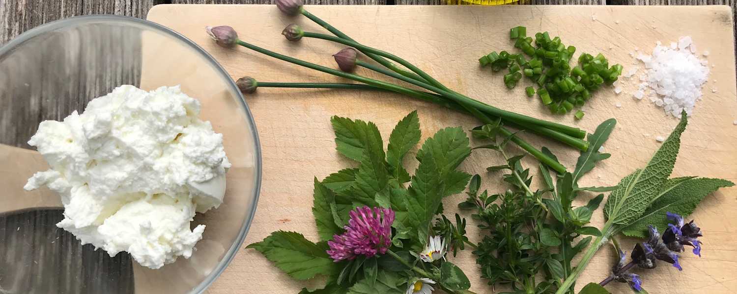 Kochen mit Wildkräutern