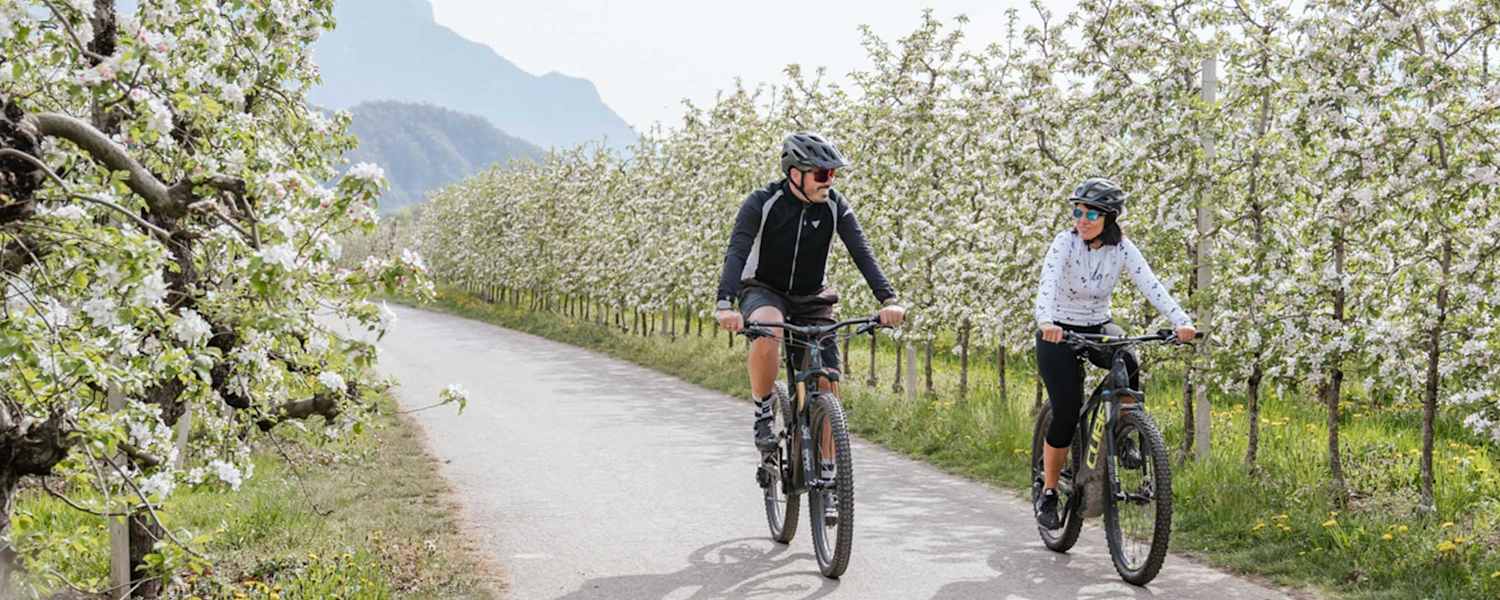 Biken im Frühling im Süden von Südtirol