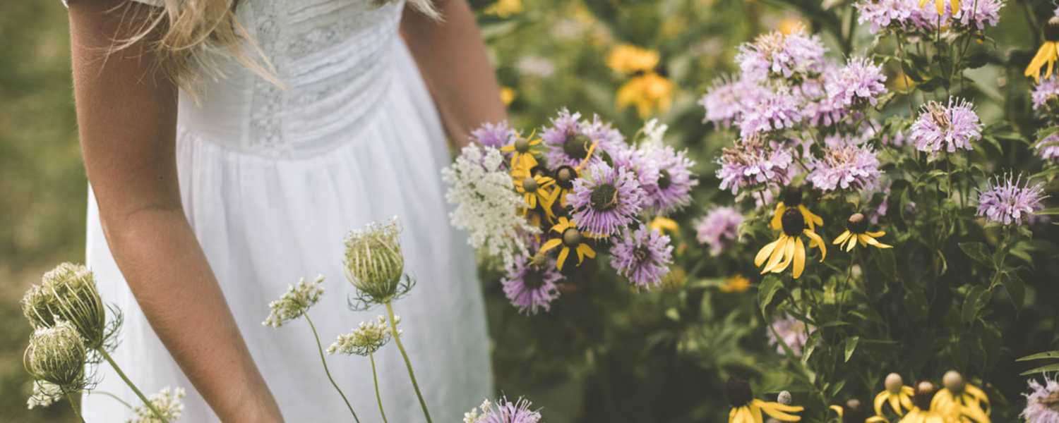 Wilde Wiesenkräuter und ihre heilende Wirkung