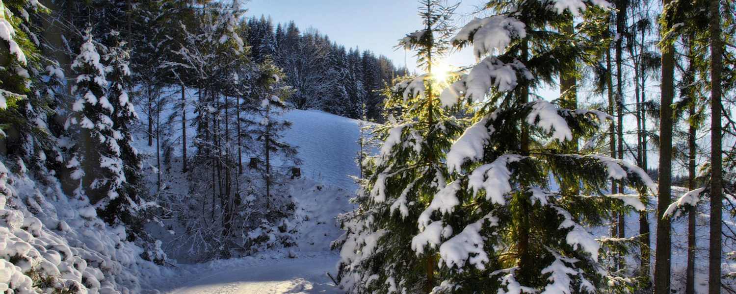 Winterwanderweg Vierawasch: Wandern bei Mühlbach am Hochkönig in Salzburg