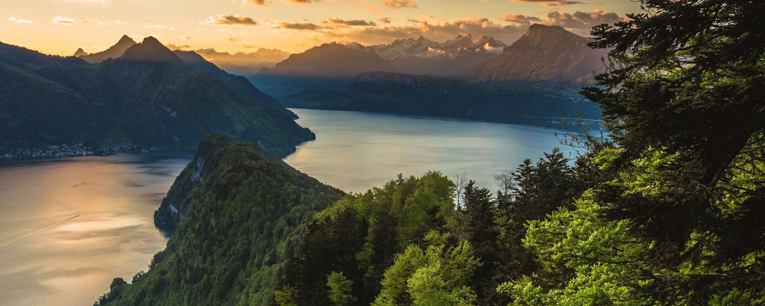 Waldstätter Weg: Von Brunnen nach Vitznau – hier mit Blick auf den Vierwaldstättersee