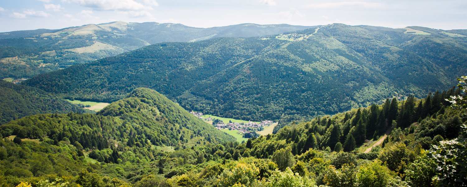 Panorma Vogesen