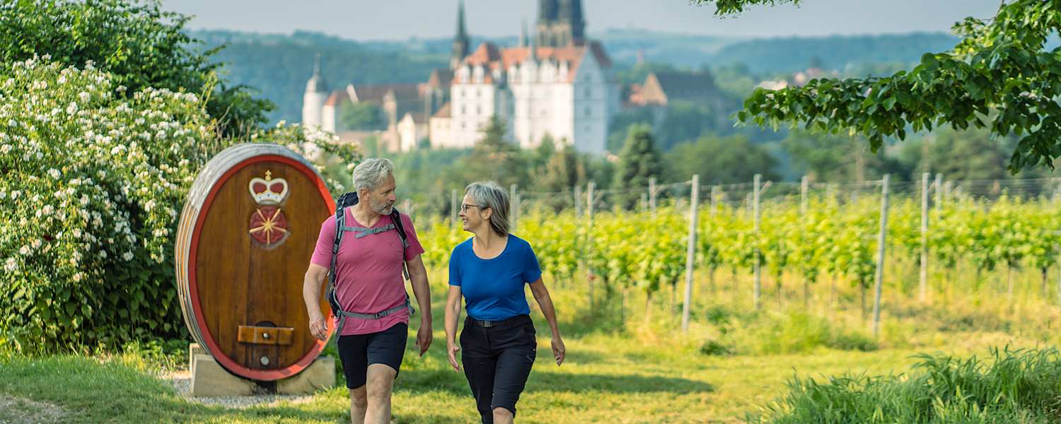 Auf geschichtsträchtigen Spuren wandern: Die Meißener Albrechtsburg (im Hintergrund) aus dem 10. Jahrhundert gilt als der erste Schlossbau Deutschlands.