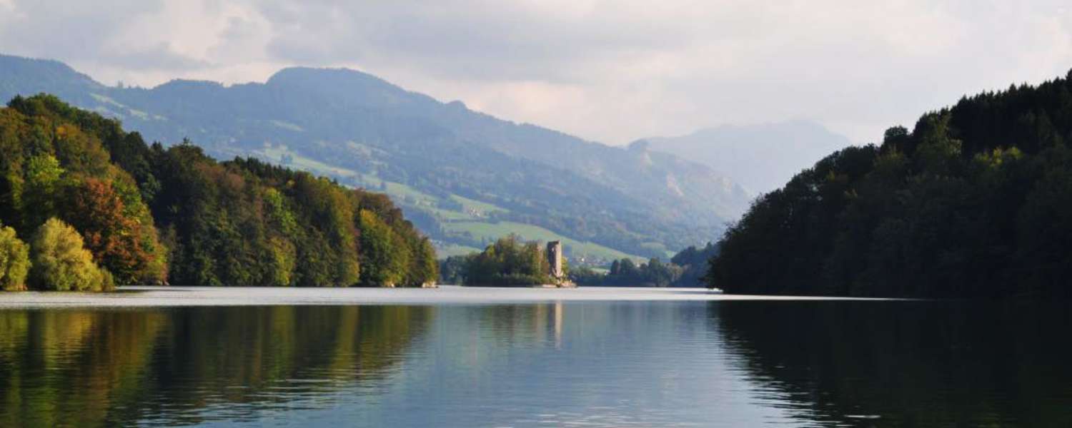 Blick auf den Lac de la Gruyère im Kanton Freiburg