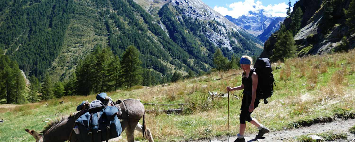 Esel-Trekking Provence